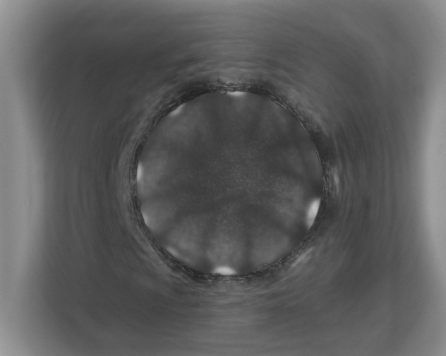 X0000112461009200909141054