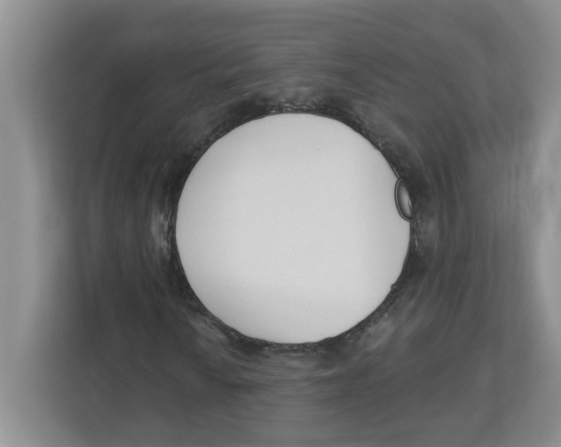 X0000112461010200909141054