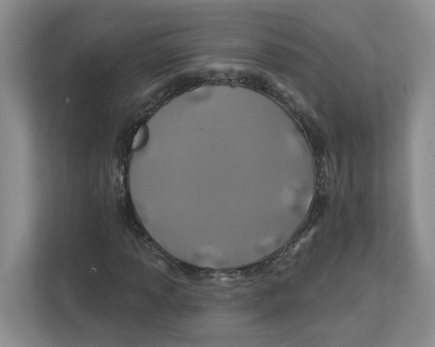 X0000112461013200909141054