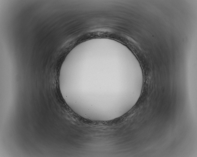 X0000112461014200909141054