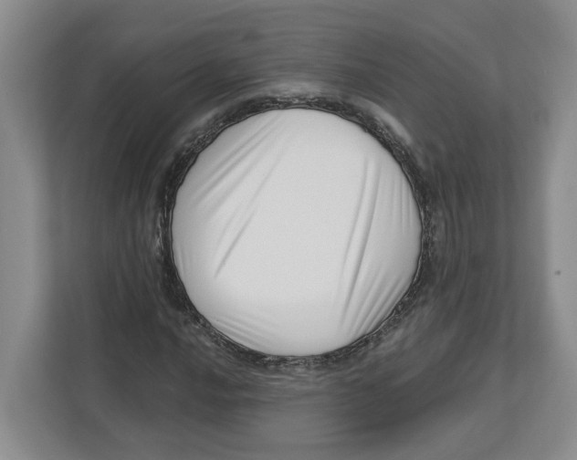X0000112461016200909141054