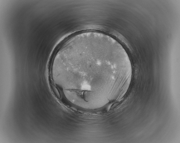 X0000112461024200909141054