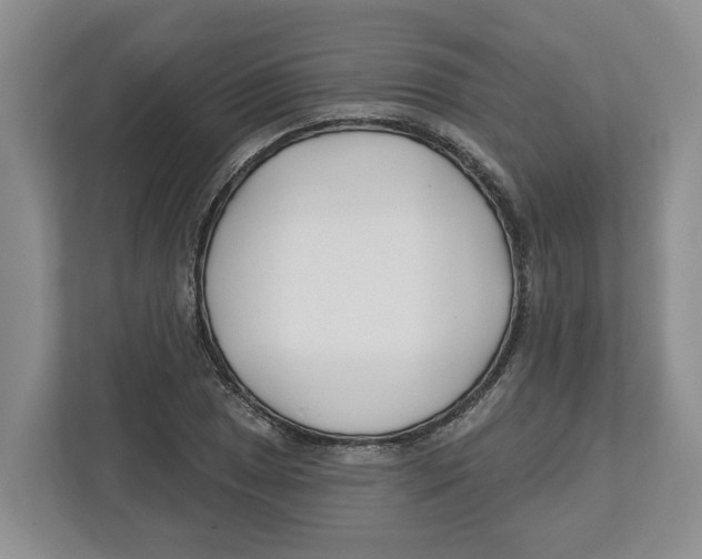 X0000112461025200909141054