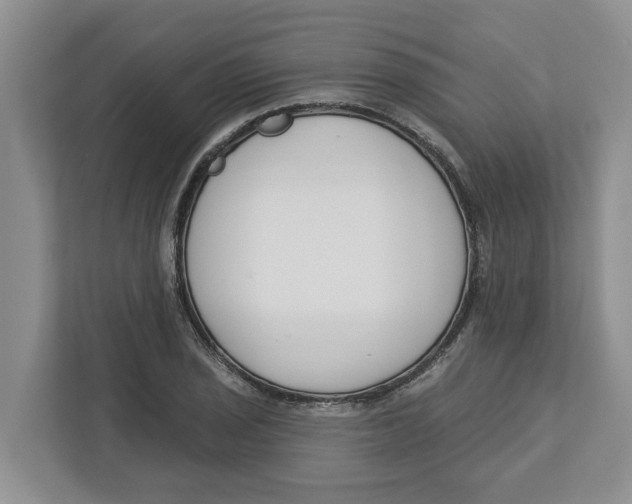 X0000112461029200909141054