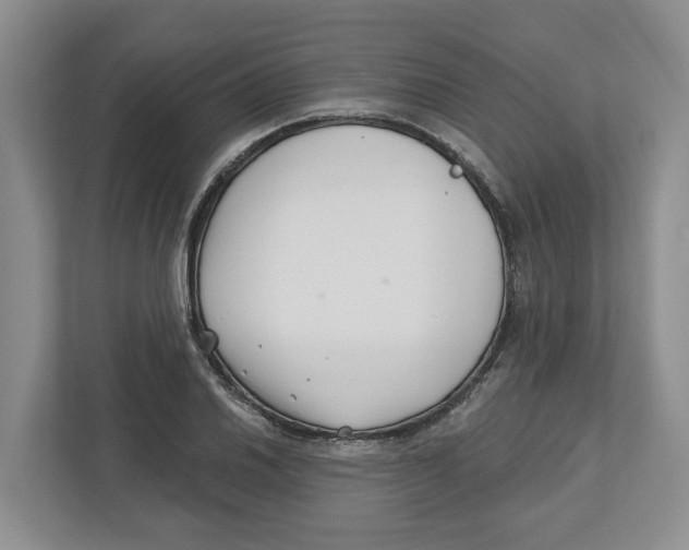 X0000112461030200909141054
