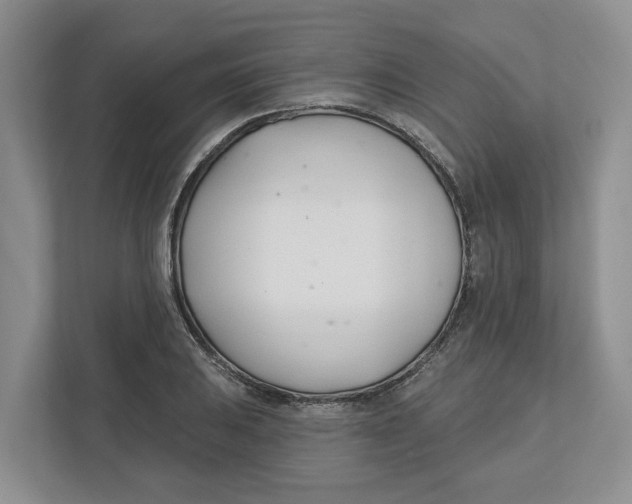 X0000112461031200909141054