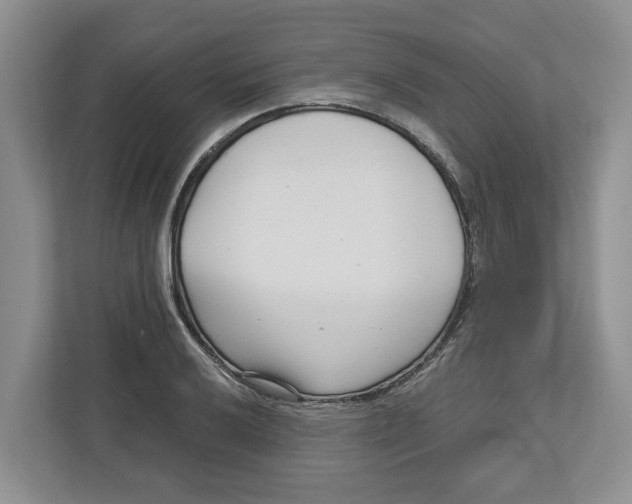 X0000112461032200909141054