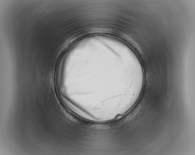 X0000112461033200909141054