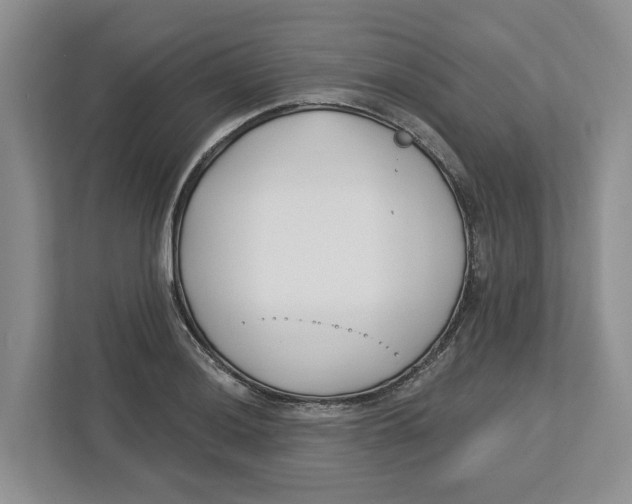 X0000112461036200909141054