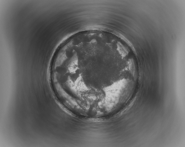 X0000112461037200909141054