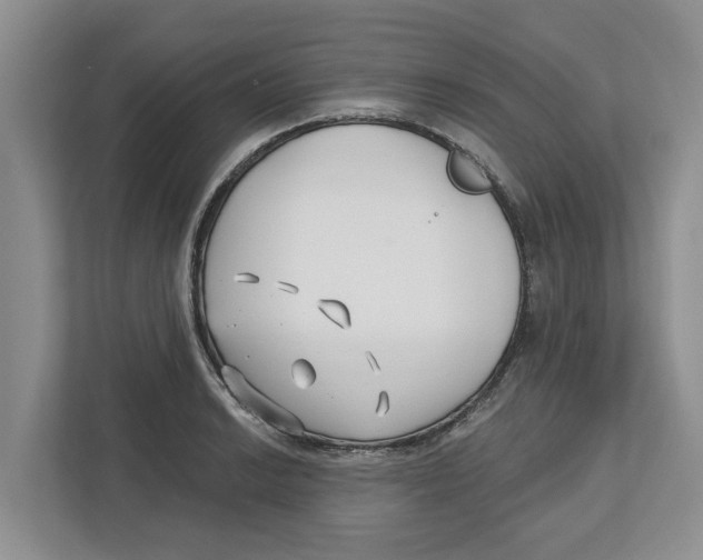 X0000112461038200909141054
