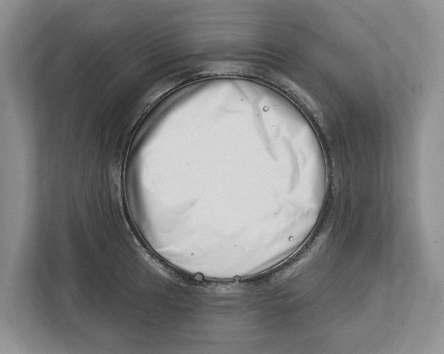 X0000112461041200909141054