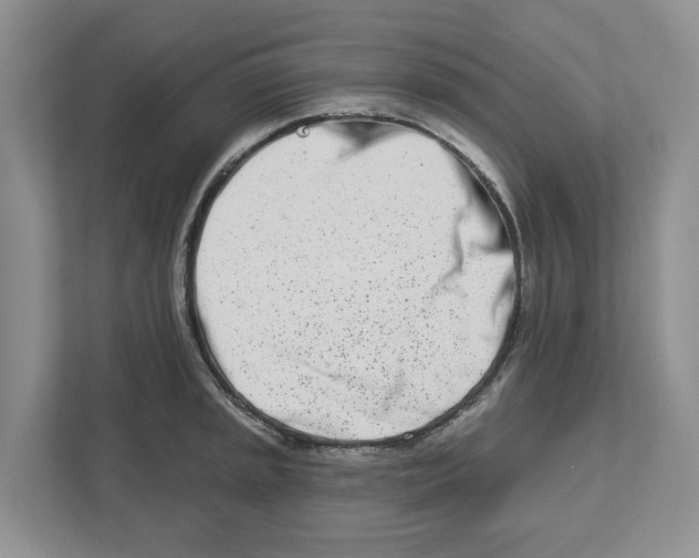 X0000112461045200909141054