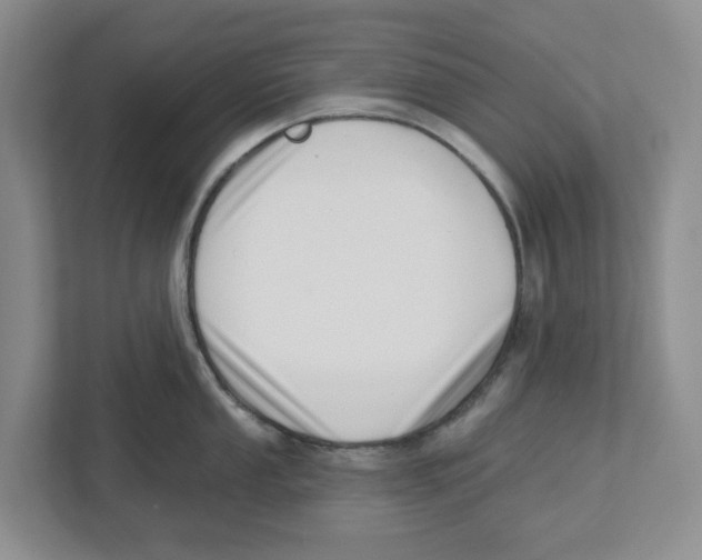 X0000112461053200909141054