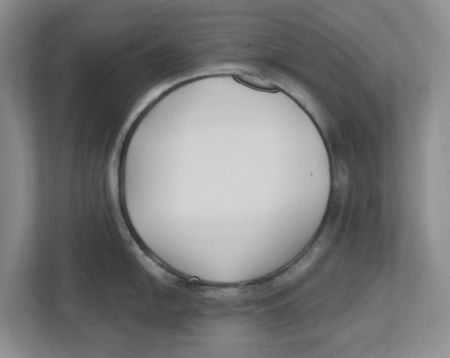 X0000112461054200909141054