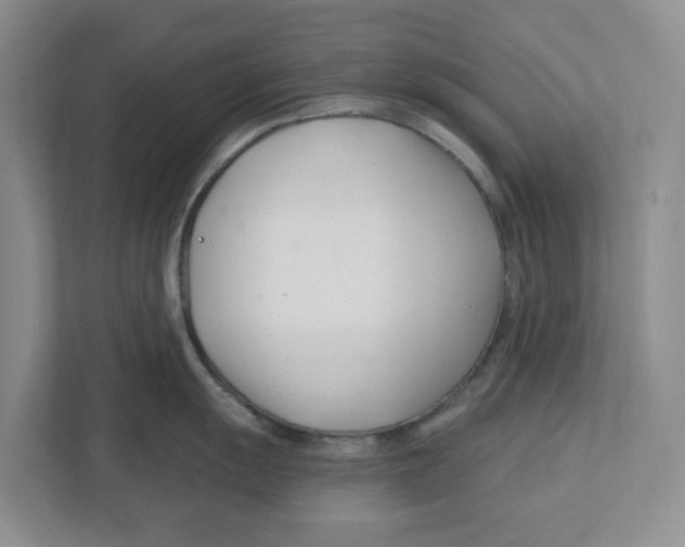 X0000112461055200909141054