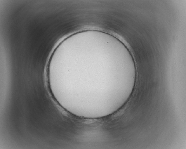 X0000112461056200909141054