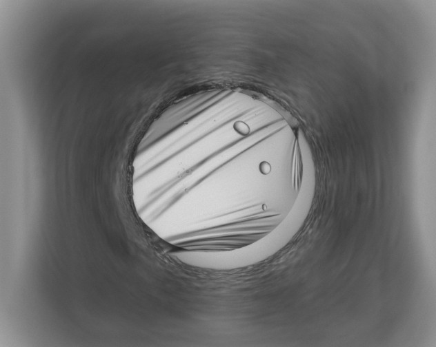 X0000112461057200909141054
