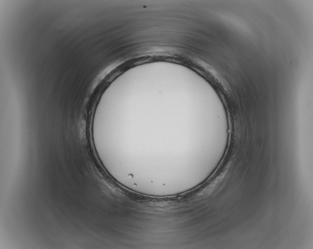 X0000112461066200909141053