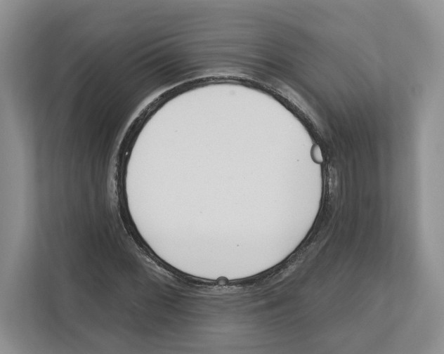 X0000112461068200909141053