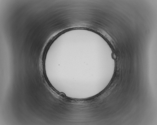 X0000112461072200909141053