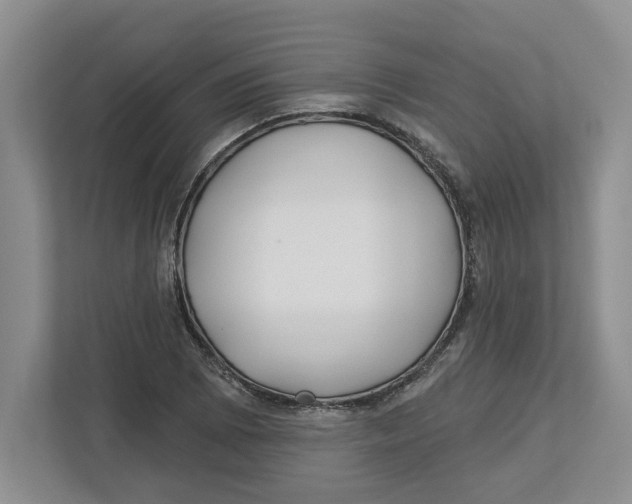 X0000112461073200909141053