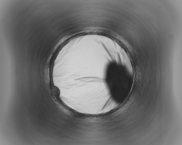X0000112461075200909141053
