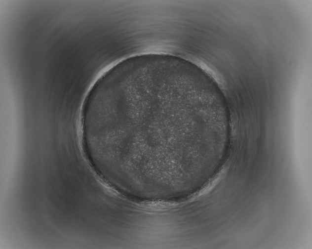 X0000112461077200909141053