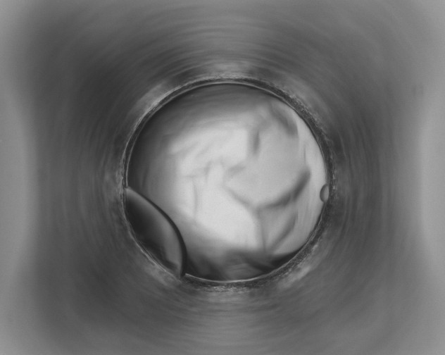 X0000112461081200909141053