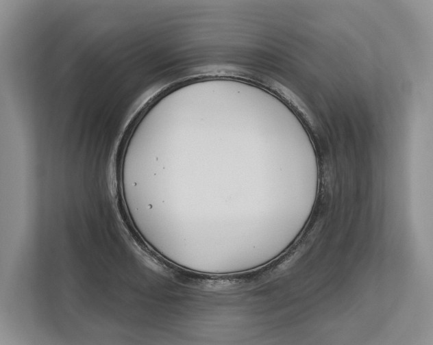 X0000112461082200909141053