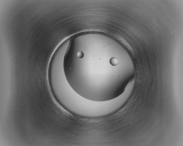 X0000112461084200909141053
