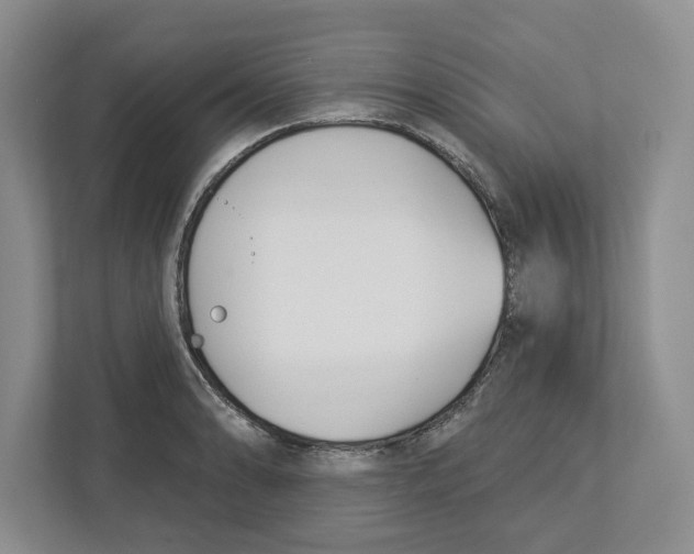 X0000112461086200909141053