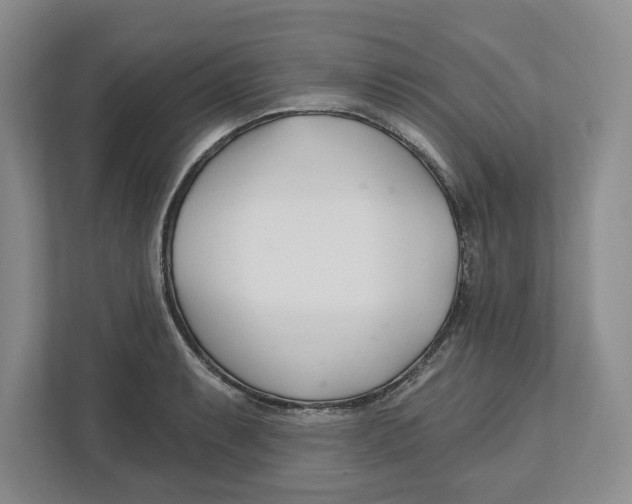 X0000112461087200909141053