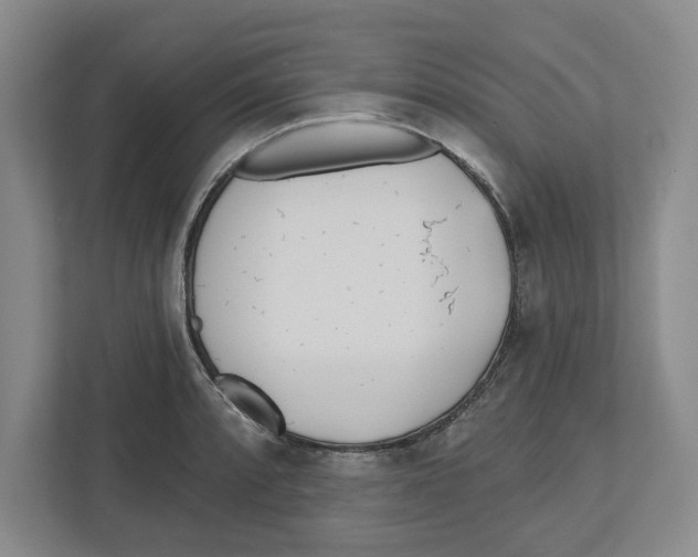 X0000112461088200909141053