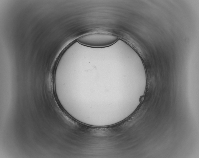 X0000112461092200909141053
