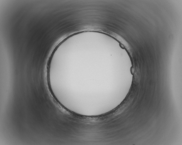 X0000112461096200909141053