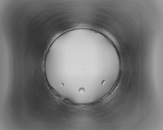 X0000112461097200909141053