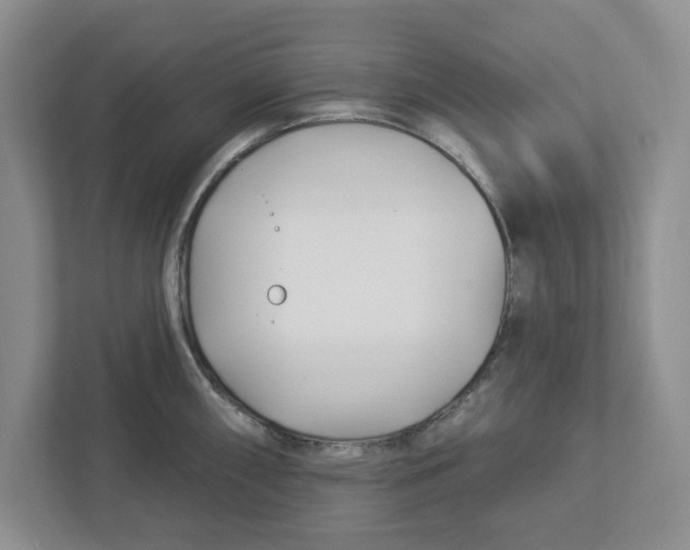 X0000112461098200909141053
