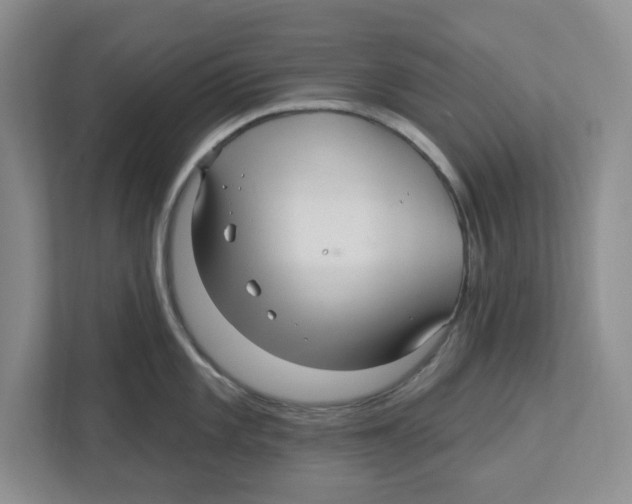 X0000112461101200909141053