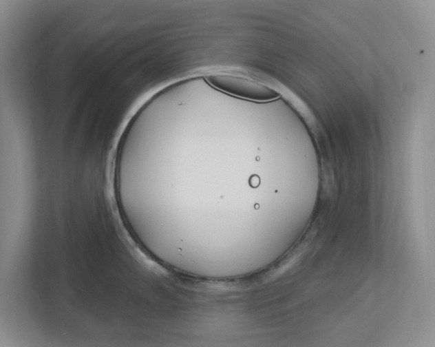 X0000112461102200909141053
