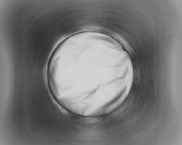 X0000112461103200909141053