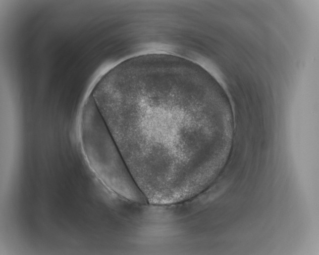 X0000112461104200909141053