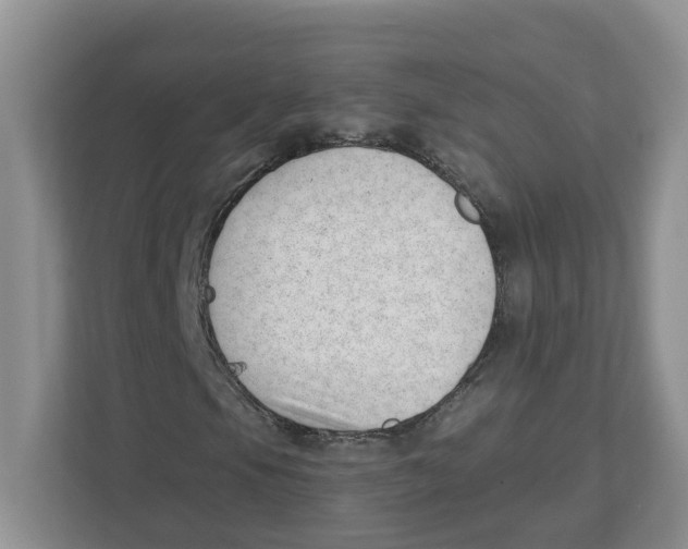 X0000112461105200909141052
