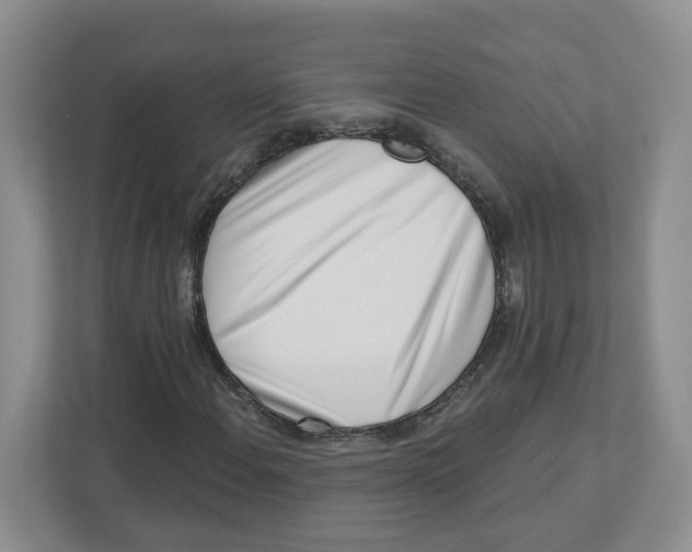 X0000112461108200909141052