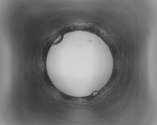 X0000112461109200909141052