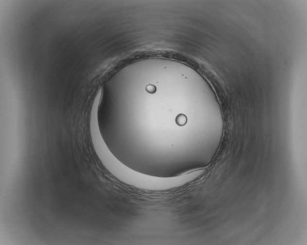 X0000112461110200909141052