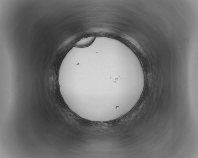 X0000112461111200909141052