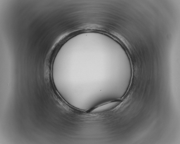 X0000112461115200909141052