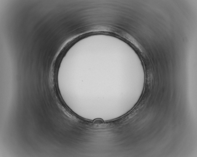 X0000112461116200909141052