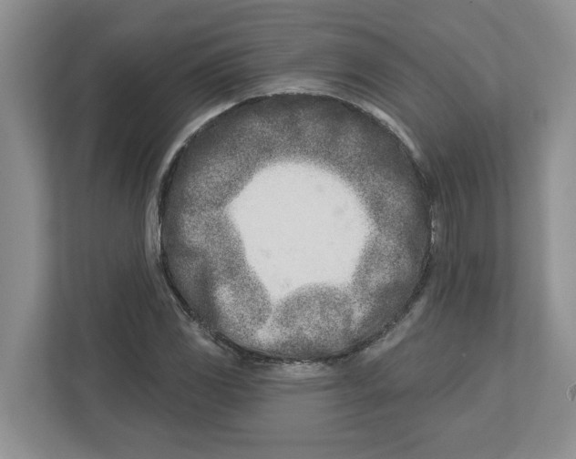 X0000112461117200909141052